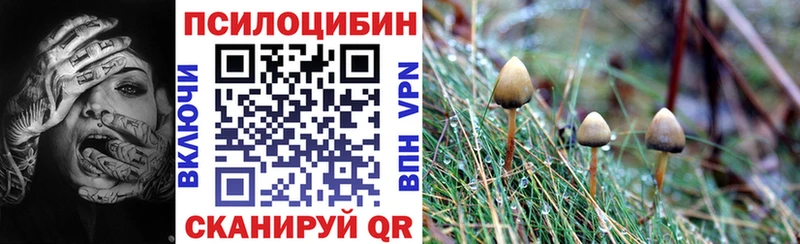 Псилоцибиновые грибы мицелий  Купить где  Дорогобуж 