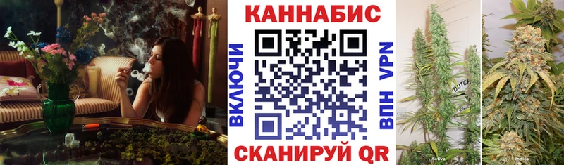 Бошки марихуана OG Kush  Купить закладки  Дорогобуж 